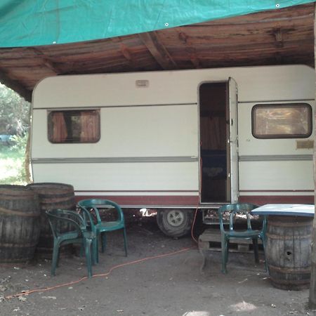 Saint-Privat  Air Naturel De Camping Moulin De Malesse מראה חיצוני תמונה